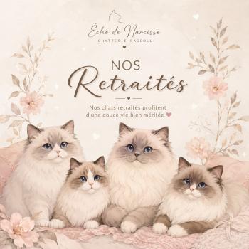 nos retraités placés