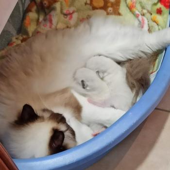 492362335_10232867079036889_6557389669996130759_n